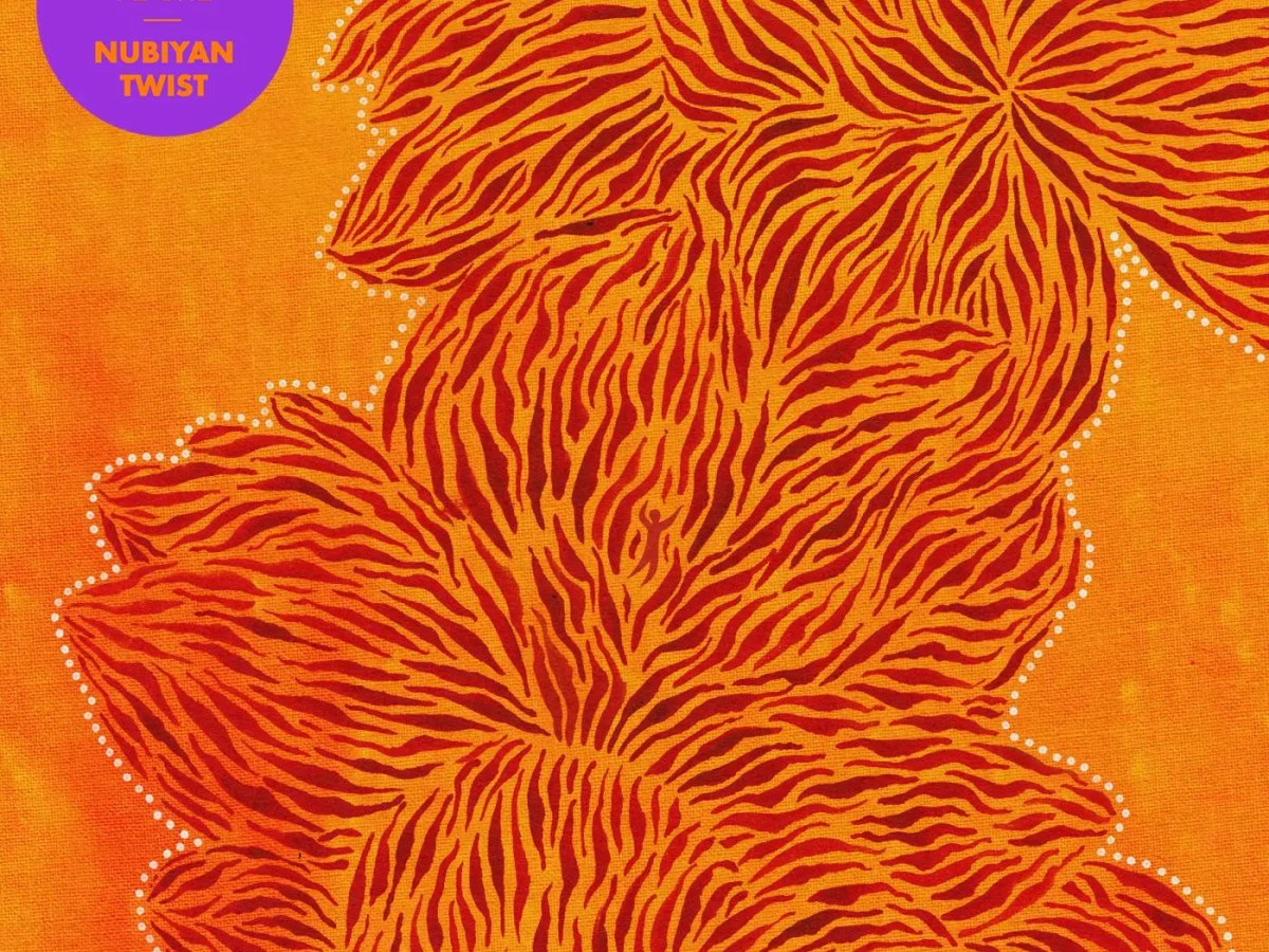 Album of the Week, 31: Find Your Flame – Nubiyan&nbsp;Twist